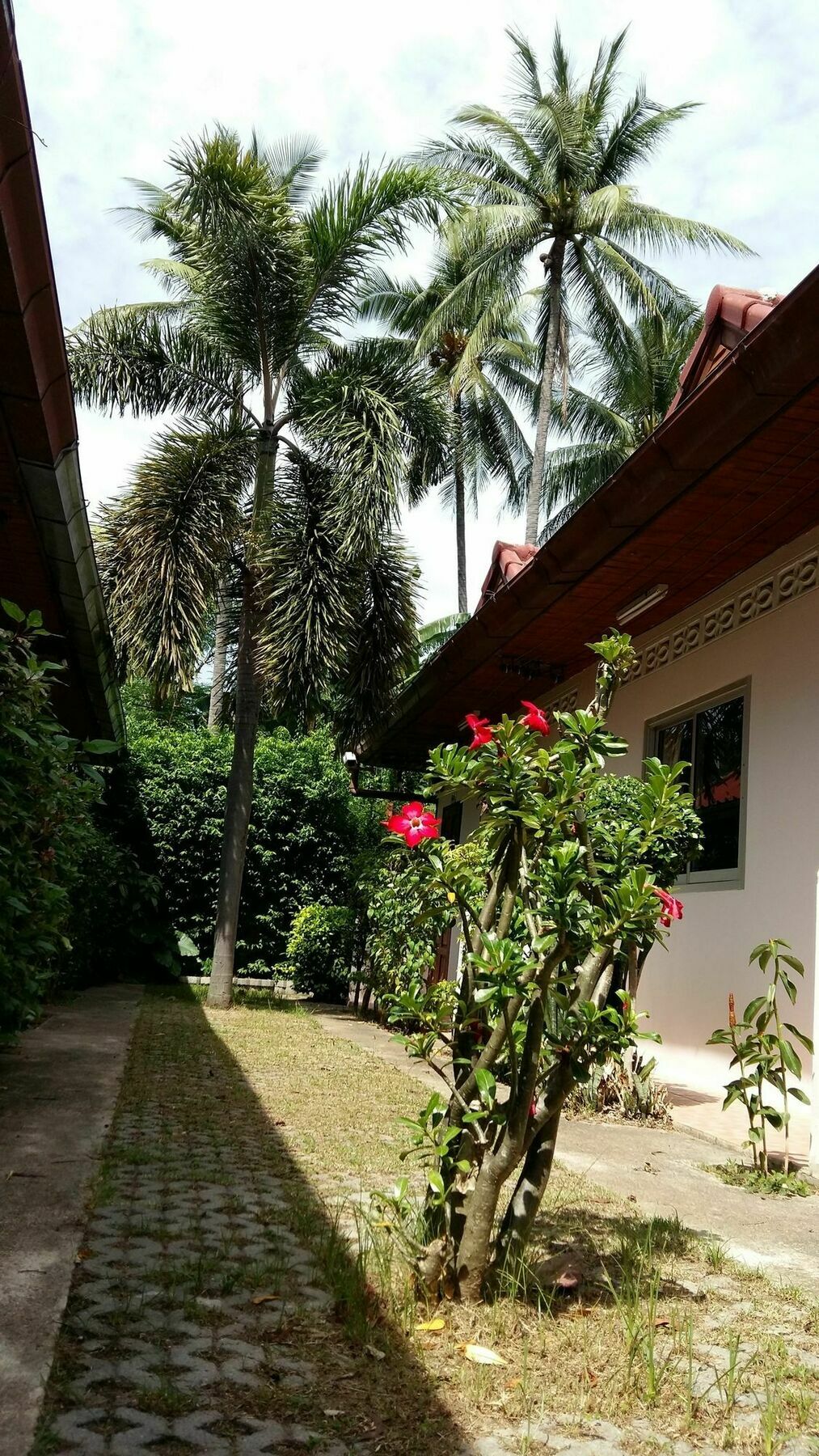 Saver Guesthouse Pantai Chaweng Luaran gambar