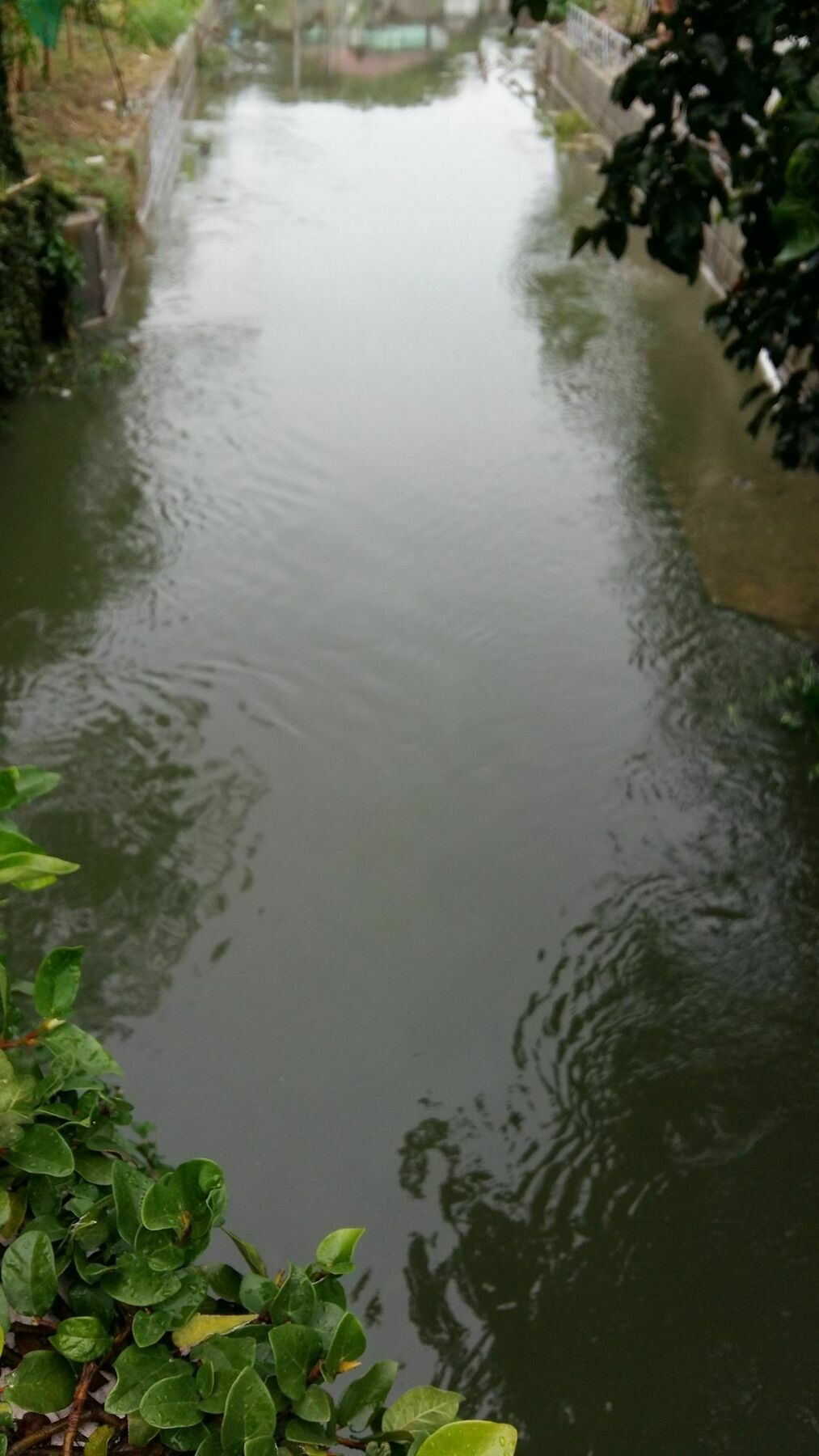 Saver Guesthouse Pantai Chaweng Luaran gambar