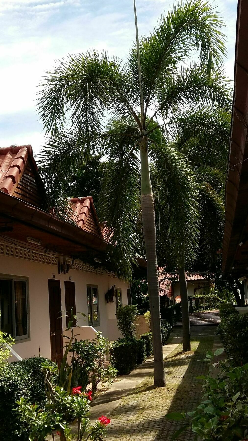 Saver Guesthouse Pantai Chaweng Luaran gambar